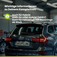 Dacia Jogger 5-Türer (Kompaktvan) ab 03.2022 BRiNK Anhängerkupplung mit JAEGER Elektrosatz